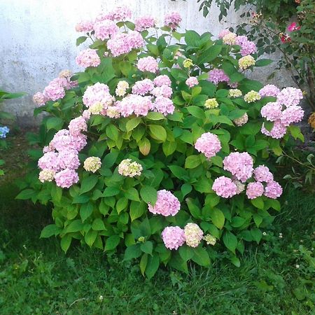 Casa Rural Oihan - Eder Apartment Espinal-Auzperri Екстериор снимка